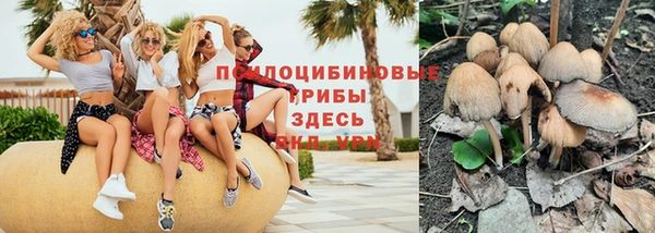 mix Новодвинск