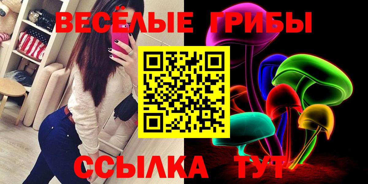 Галлюциногенные грибы Psilocybe Краснотурьинск