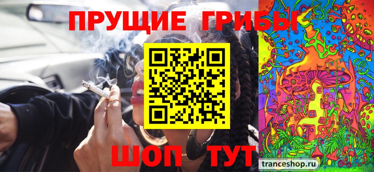 Псилоцибиновые грибы GOLDEN TEACHER  Вход с VPN  Галлюциногенные грибы Cubensis  Краснотурьинск 